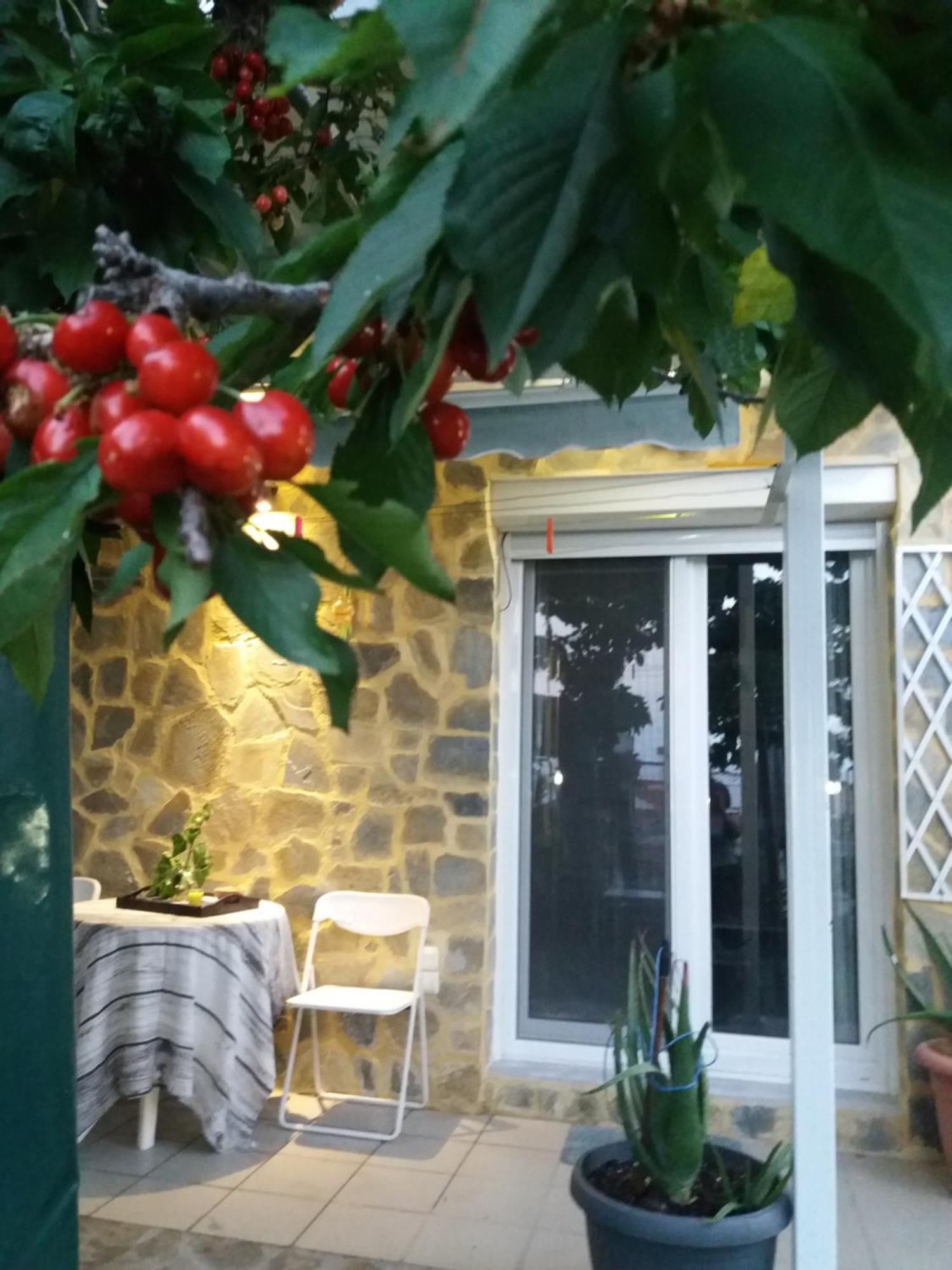 Garden'S House Lejlighed Kavala Eksteriør billede